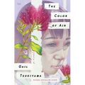 The Color of Air - Hardcover