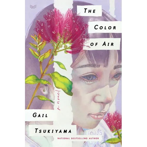 The Color of Air - Hardcover