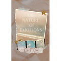 The Nature of Emotions - Paperback