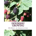 Dewberry Growing: Farmers' Bulletin 1403 - Paperback