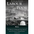 Labour and the Poor Volume VIII: Wales, The Mining and Manufacturing Districts - Paperback