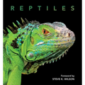 Reptiles - Hardcover