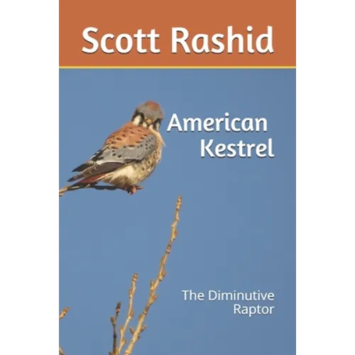 The American Kestrel: The Diminutive Raptor - Paperback