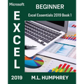 Excel 2019 Beginner - Paperback
