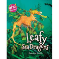 Leafy Sea Dragons - Hardcover