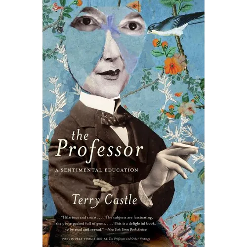 The Professor: A Sentimental Education - Paperback