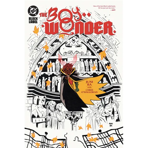 The Boy Wonder - Hardcover