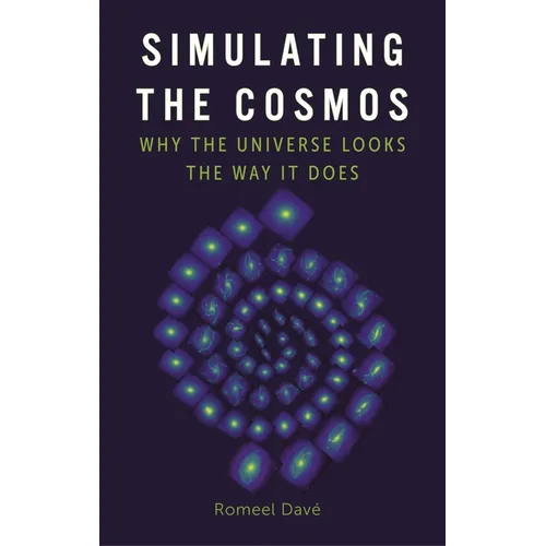 Simulating the Cosmos: Why the Universe Looks the Way It Does - Hardcover