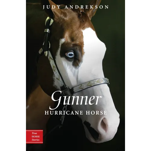 Gunner: Hurricane Horse - Paperback