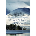 Exact Colour of Snow - Paperback