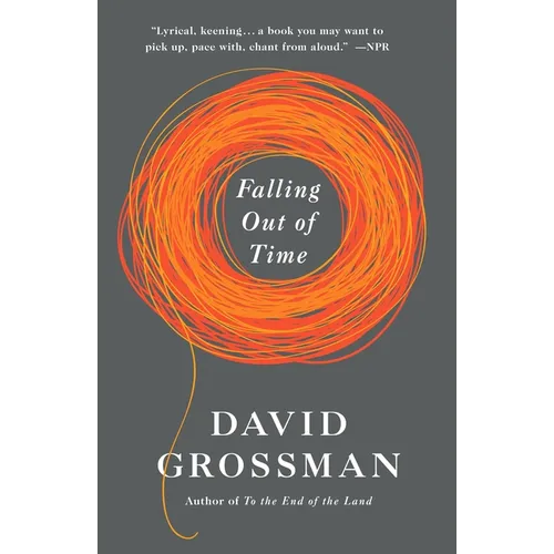 Falling Out of Time - Paperback