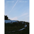 Sarah Sze: Fallen Sky - Hardcover