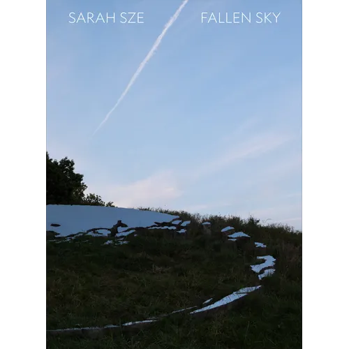 Sarah Sze: Fallen Sky - Hardcover