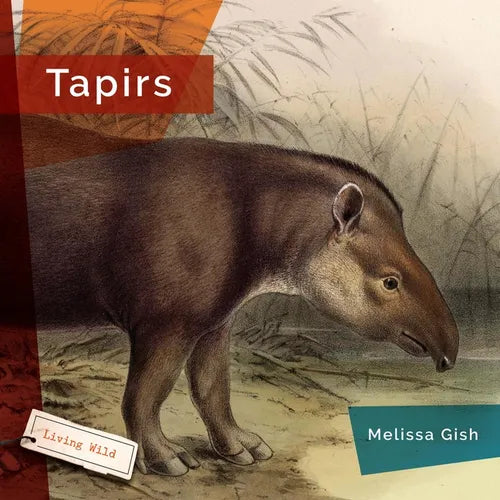 Tapirs - Paperback