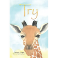 Try - Paperback