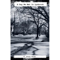 A Day We Met In Lynbrook - Paperback