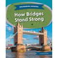 How Bridges Stand Strong - Library Binding