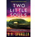 Two Little Souls: An absolutely addictive mystery thriller - Paperback