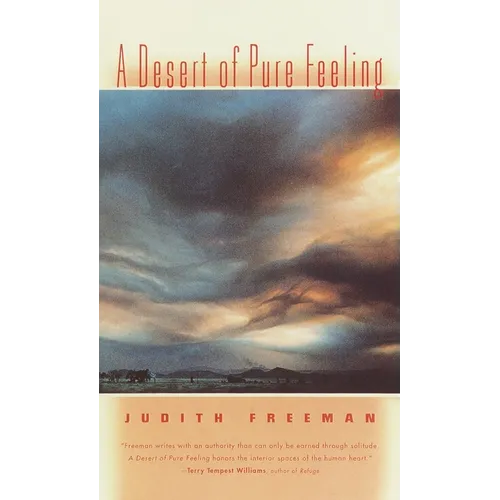 A Desert of Pure Feeling - Paperback