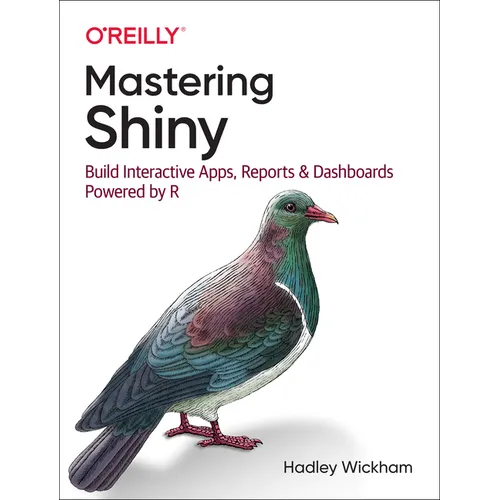 Mastering Shiny: Build Interactive Apps, Reports, and Dashboards Powered by R - Paperback