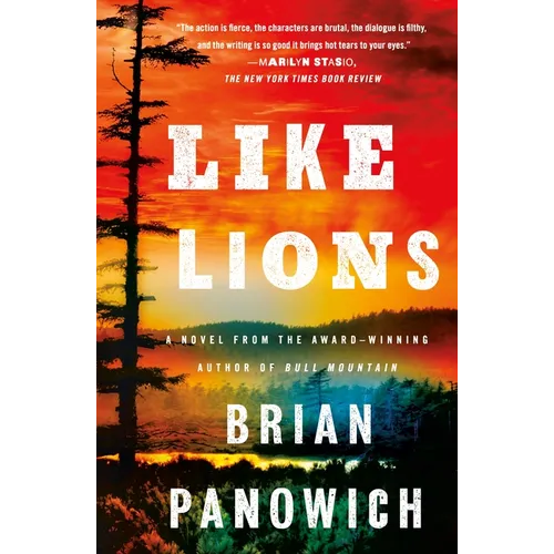 Like Lions - Paperback