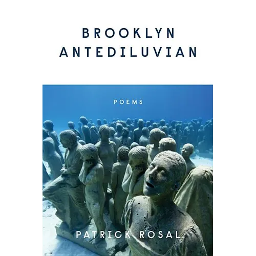 Brooklyn Antediluvian: Poems - Paperback