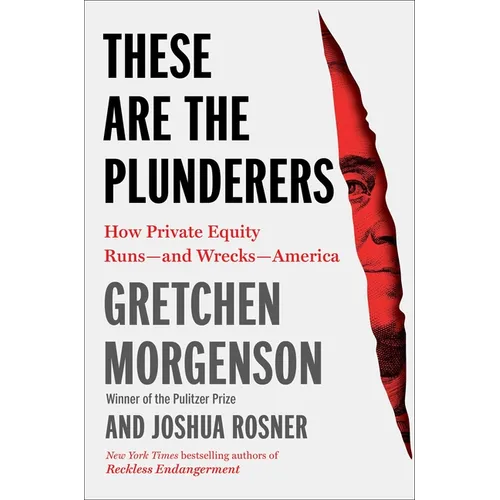 These Are the Plunderers: How Private Equity Runs--And Wrecks--America - Hardcover