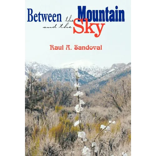 Between the Mountain and the Sky - Hardcover
