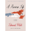A Previous Life: Another Posthumous Novel - Paperback