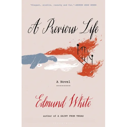 A Previous Life: Another Posthumous Novel - Paperback