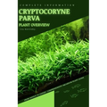 Cryptocoryne Parva: From Novice to Expert. Comprehensive Aquarium Plants Guide - Paperback