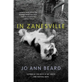 In Zanesville - Paperback