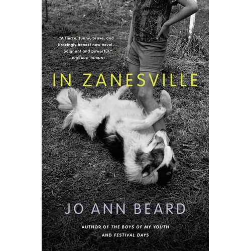 In Zanesville - Paperback