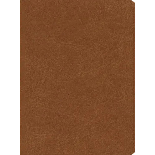 CSB He Reads Truth Bible, Saddle Leathertouch, Indexed - Imitation Leather