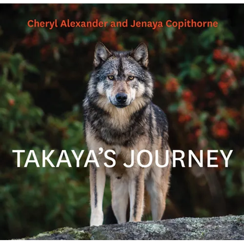 Takaya's Journey - Hardcover