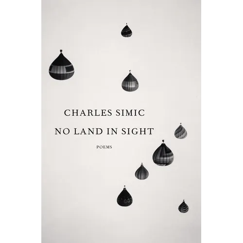 No Land in Sight: Poems - Hardcover
