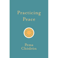Practicing Peace - Paperback