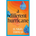 A Different Hurricane - Paperback