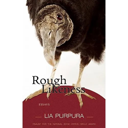 Rough Likeness: Essays - Paperback