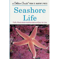 Seashore Life - Paperback