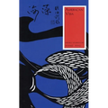 American Visa - Paperback