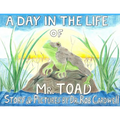 A Day in the Life of Mr. Toad - Paperback