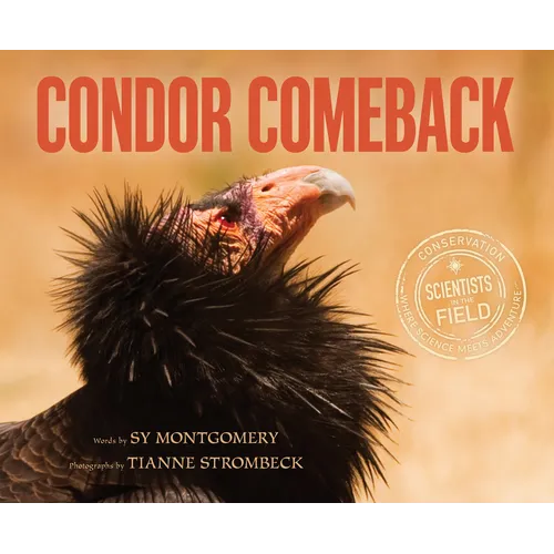 Condor Comeback - Paperback