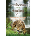 Awakening the Healing Soul: Indigenous Wisdom for Today's World - Paperback