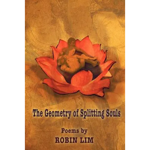 The Geometry of Splitting Souls - Paperback