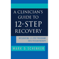A Clinician's Guide to 12-Step Recovery - Hardcover