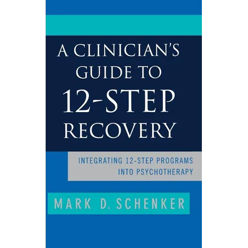 A Clinician's Guide to 12-Step Recovery - Hardcover