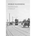Dublin Wandering - Paperback
